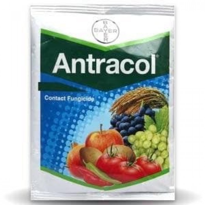 BAYER ANTRACOL 250GM